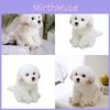 Очаровательная белая мальтийская плюшевая игрушка, наполнена волокном, длинношерстное чучело животного, 33x24x16см/38x26x21см