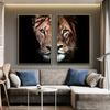 Male Lion And Lioness Canvas Paintings On The Wall Art Modern Decorative Posters And Prints Canvas Art Animal Pictures for Room
