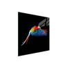 Glass Stove Top Protector 50x52 Parrot