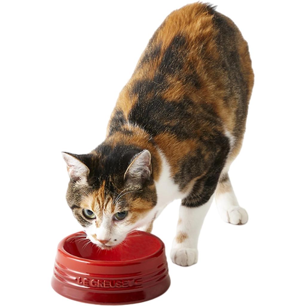 Миска для домашних животных Le Creuset Pet Bowl белая для собак и кошек устойчивая к пятнам, безопасная для использования в микроволновой печи, японская (M) [Авторизованный продукт]