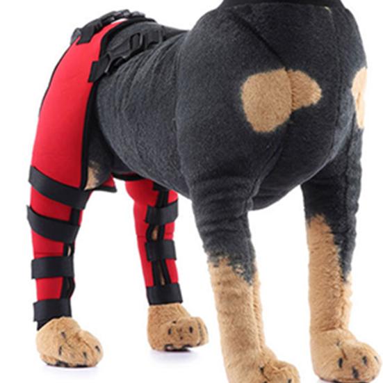 Фиксатор колена для собак при разрыве передней крестообразной связки задней ноги, регулируемая двойная поддержка задней ноги при вывихе связок надколенника, травмах, остеоартрите