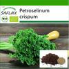 Органический - Петрушка скрученная мхом - 800 семян - С горшечным субстратом для лучшего выращивания - Petroselinum Crispum