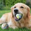 2 Pcs Rubber Dog Balls Resistant Teeth Training Latex Dog Ball Durable Dog Toy Ball