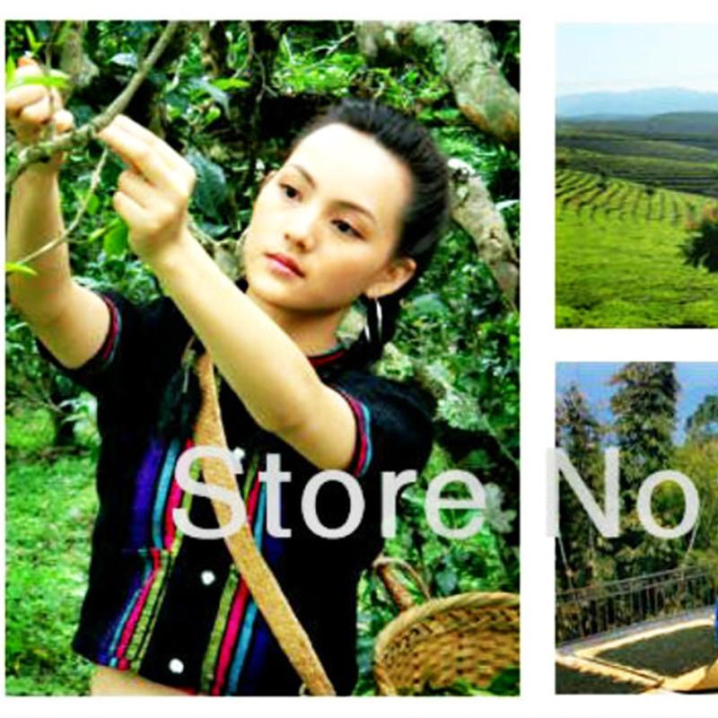 Select Yunnan Moonlight White Pu'er Tea 357g Natural Raw Yueguangbai Cake