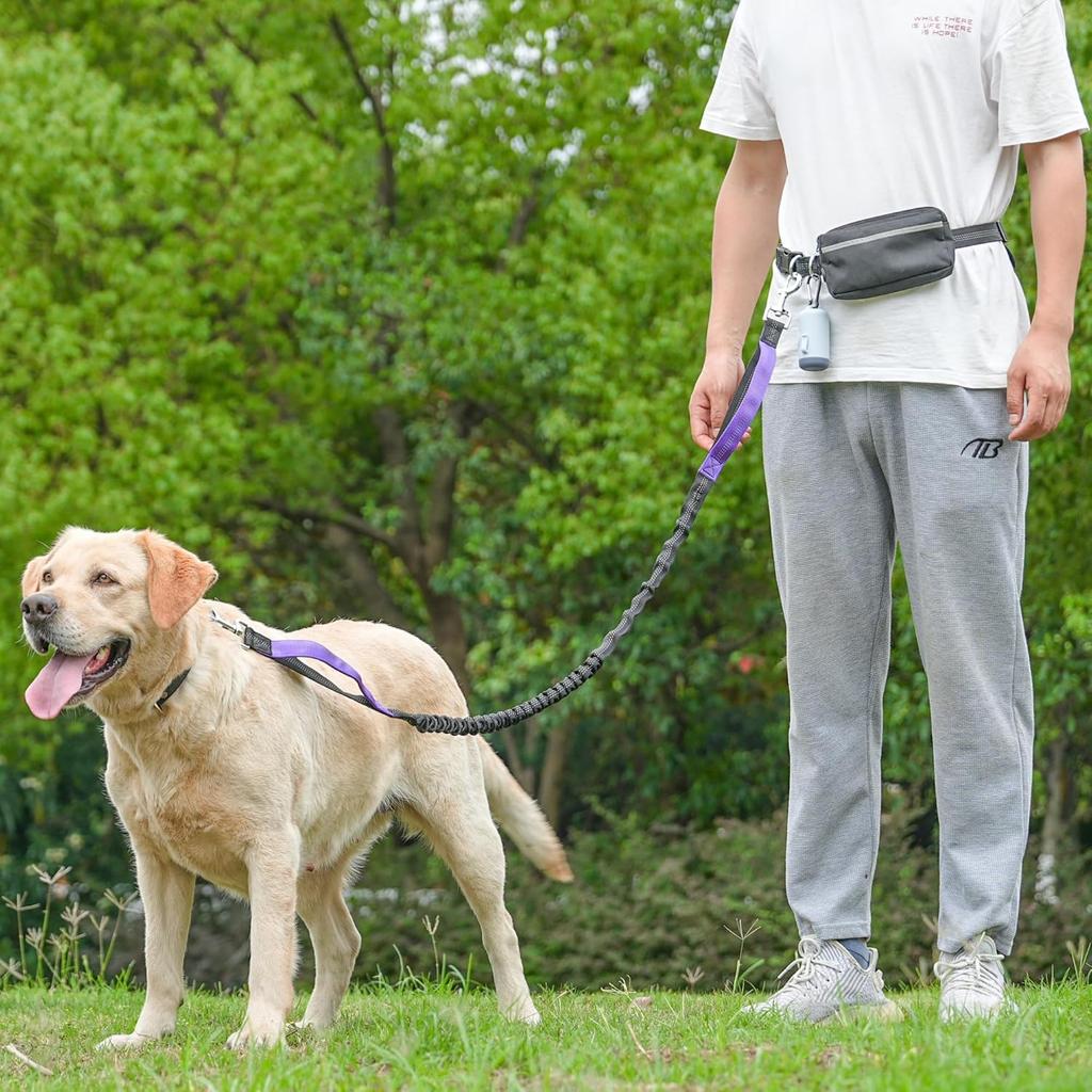 Hands-Free Dog Leash for Dogs up to 130 lbs – Heavy-Duty, Shock-Absorbing Bungee Leash with Zipper Pouch, Dual Padded Handles & Adjustable Waist