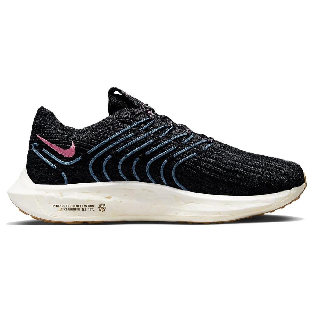 Nike Pegasus Turbo Next Nature Black Noise Aqua Women Sneakers Anthracite White DM3414-004