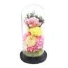 Glass Dome for Offerings Glass Dome Sachi