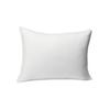 Amazon Basics Pillow, Down Alternative, Machine Washable, Large, 2-Pack, 51 x 66 cm, White