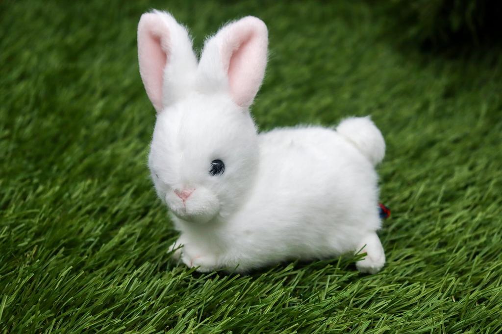 Мягкая игрушка Petit Lapin белого цвета 063015 Высота взлета 11 см, прибл.