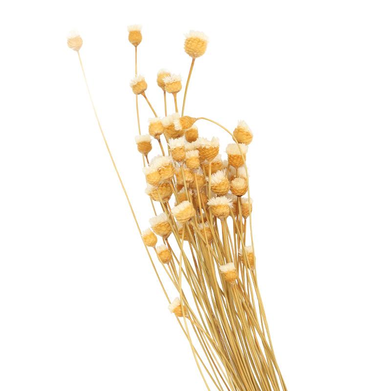 Натуральное искусство Сухоцветы Искусственная цветочная композиция Букет из сухоцветов Материалы для цветов своими руками