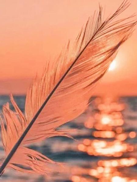 5D DIY алмазная живопись закат набор для вышивки крестом Алмазная вышивка перо мозаика пейзаж распродажа картина стразы искусство