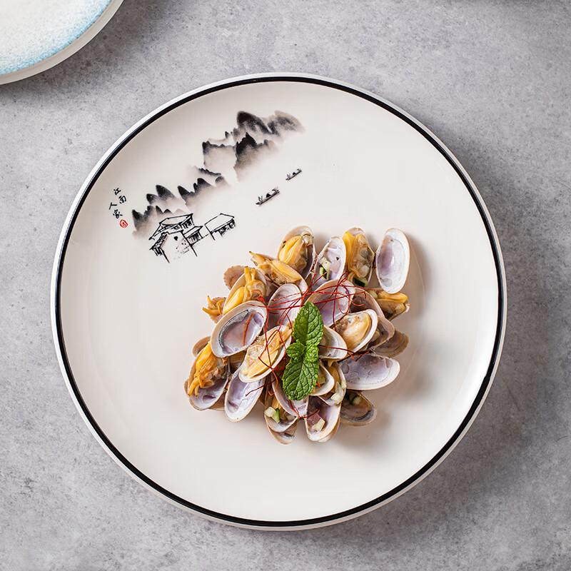 White Ceramic Dinner Plate