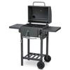 Berdsen Bd-892 Charcoal Grill