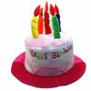 Happy Birthday Cake Hat Cute Fabric Birthday Hat with Plush Candles for Unisex Adult Party Novelty Decorations