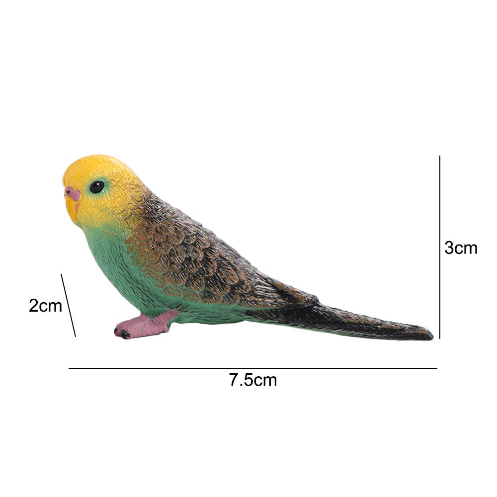 Miniatures Bird Figurines Educational Parrot Ornament Animal Sculpture Budgerigar Toy Tabletop