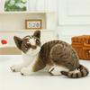 Simulated Cat Doll Creative Plush Toy Children'S Soothing Rag Doll Pet Cat Doll