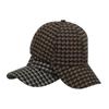 Men Autumn Winter Small Plaid Peaked Cap Baseball Cap Women Sun Hat Ponytail Panama Cap Visor Hats Snapback Hat