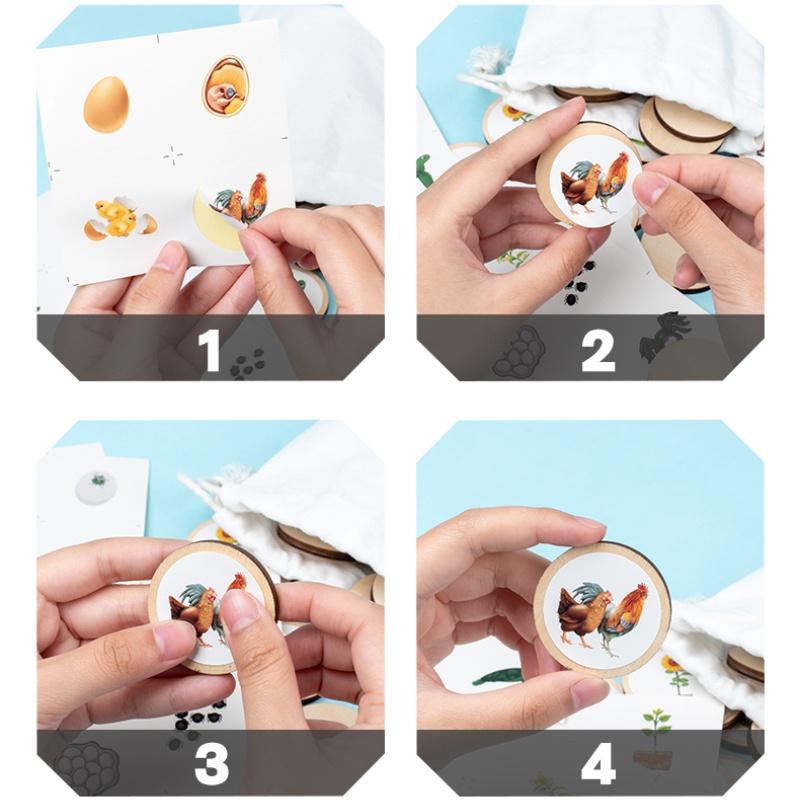 1 комплект, доска с жизненным циклом животных, детские игрушки, обучающие пособия Монтессори, набор моделей цикла роста животных и растений, дошкольные познавательные игрушки