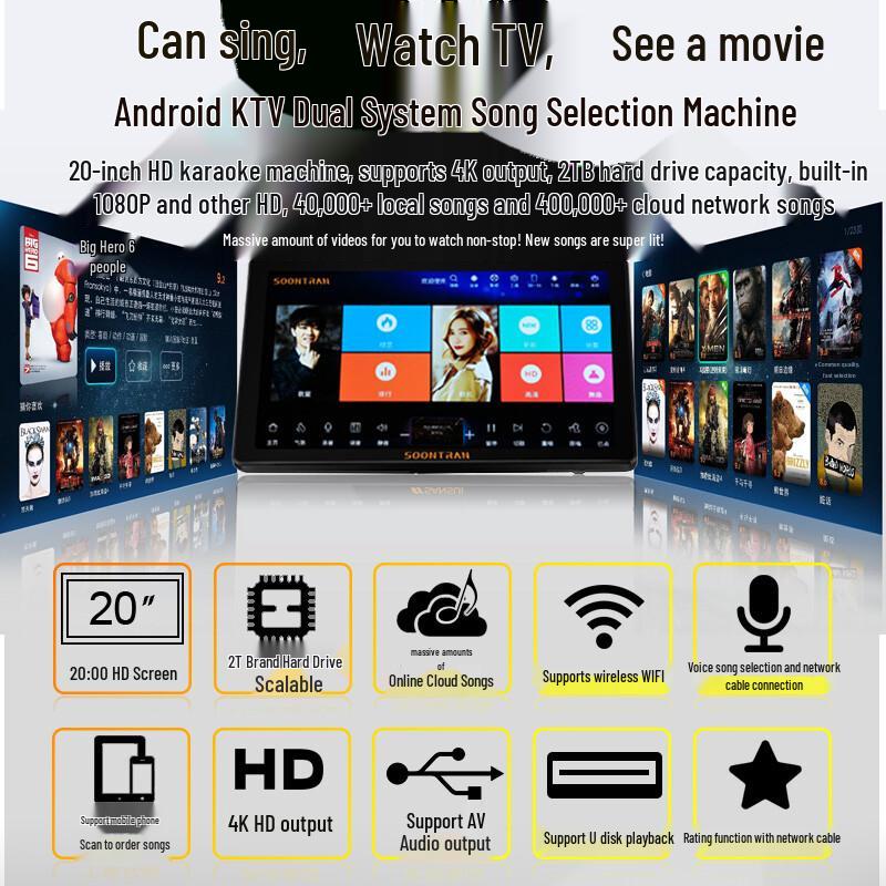 Songchuan SP101 Home KTV Professional Audio System CN plug (adapter included)