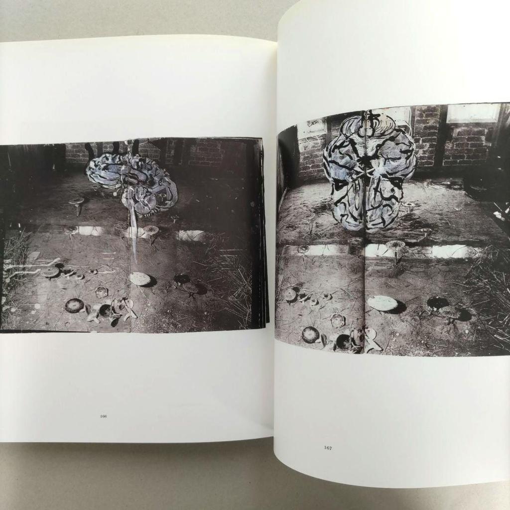 [USED] ANSELM KIEFER Anselm Kiefer Art Collection