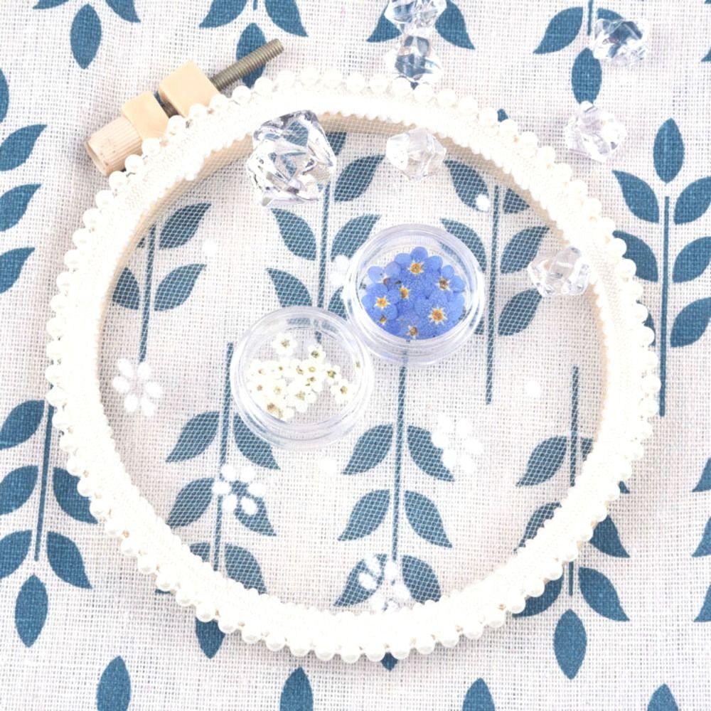 Карточка для нейл-арта Украшения Натуральные Не забудь меня Незабудка Засушенный цветок Сушеные цветы