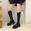 Skinny Boots Women's 2025 Autumn and Winter Wear Fleece Slim Thick Heel Thick Bottom But Knee Simple Design Trendy Knight Boots