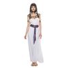 Womens Adult Pharaoh Costume Egyptian Princess Queen Fancy Dress Ladies Outfit