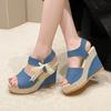 Casual Wedges Shoes for Women Sandals Summer Fish Mouth Slope Heel Ladies Shoes Platform High Heels Designer Sandal Comfort 2024