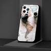 Дорожный чехол с картой мира для iPhone 14 13 11 12 Pro Max XR 7 8 + X 6 6S Plus XS 5 5S SE 2020, черный мягкий чехол для телефона Funda