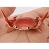Creative Cute Storage Rack Stationery Gift Crab Pen Holder Weightlifting Crab Stand Ornament Toy
