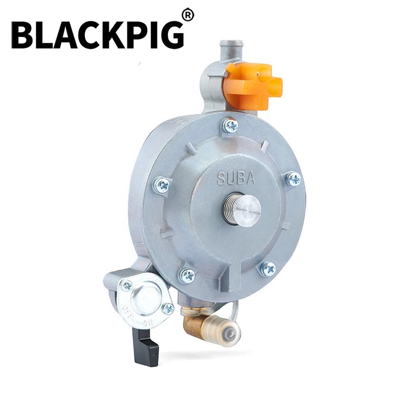 GT241 154F Engine LPG Dual Fuel Carburetor Reducer Assy Gasolina Petrol Generator Parts