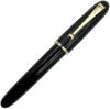Gullor Acrylic Fountain Heartbeat Medium Nib Pen, Tip, Black, (0.7mm)