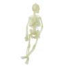 Glowing In The Dark Halloween Skeleton Decor Luminous Lifelike Skeleton Model for Front Lawn