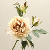3 Head Autumn Peony Flower Simulation Bouquet Home Living Room Decoration Table Floral Decoration Fake Flowers
