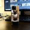 S-Сиамская кошка Милый чехол для телефона для iPhone 17,16,15,14,13,12,11 Plus,Pro Max,XS,Цветной посеребренный внутренний чехол