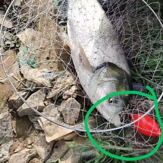 Легкая форма утиного яйца поплавка СИД электронная небьющаяся под углом