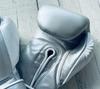 PRIZE RING Boxing Gloves Silver 8oz “Professional SX”