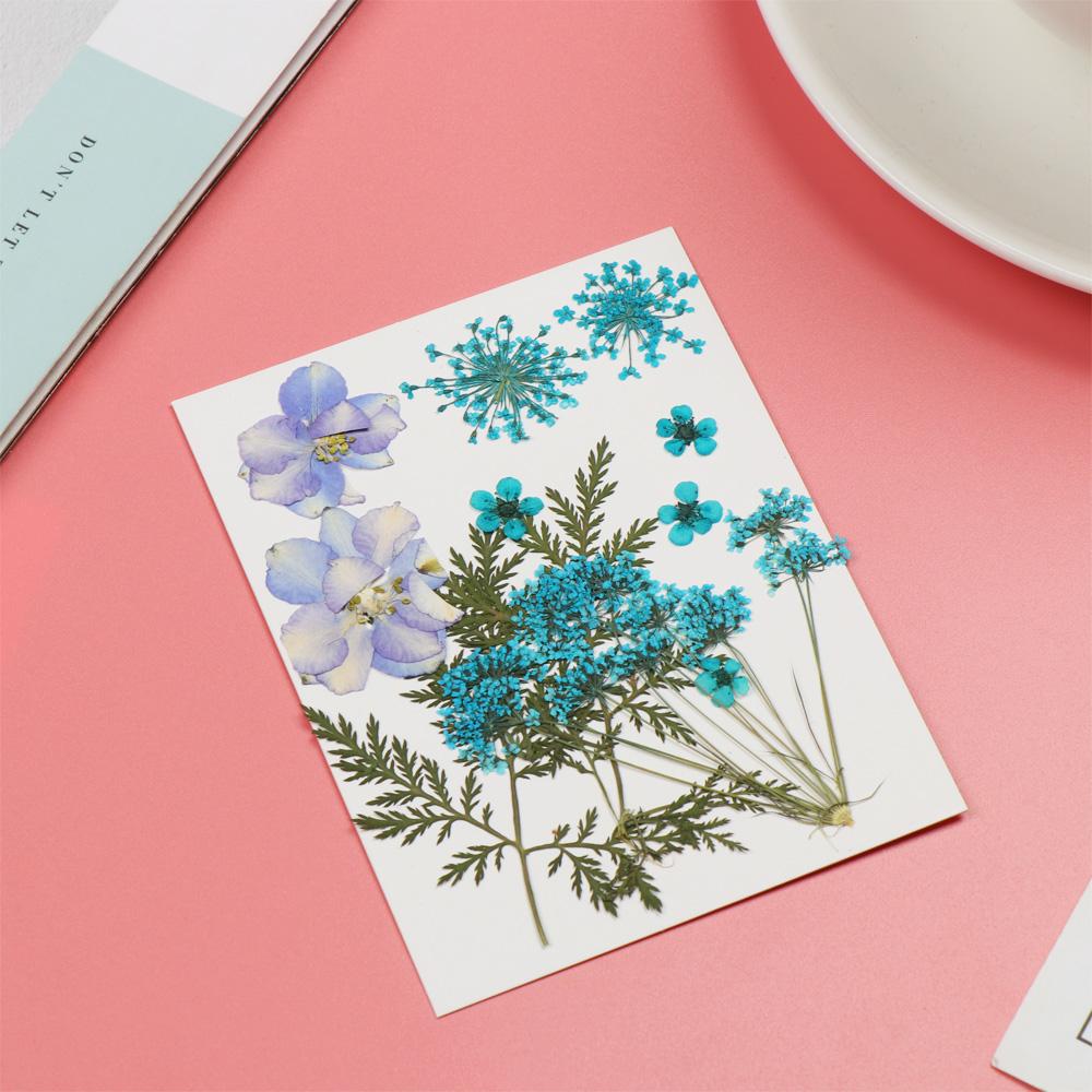 Jewelry Making Filling Materials Dried Flowers Resin Filler Beauty Decal Resin Mold Filling Flower