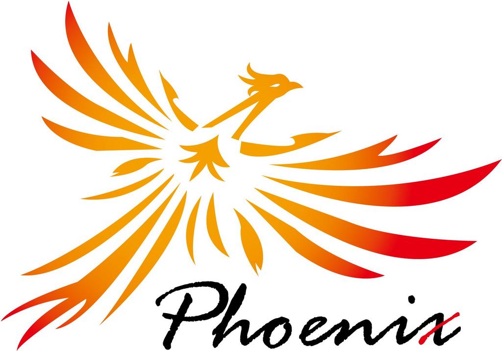 Phoenix One Touch Guitar Capo Tasto Alloy Care Fiber Cloth Safe and Secure Warranty 3 Piece Folk Electric Acoustic Gold Metallic Mirror Gold KNIGHT OF