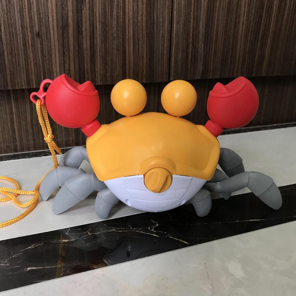 Children's Amphibious Pull-String Crab Water & Bath Toy