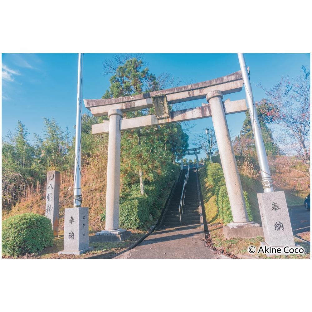 KENKO Soft Filter Nostalgic Tone Blue 55mm for Soft Effects and Color Effects Made In Japan 006344