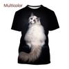 2024 Новые футболки с изображением животных Ragdoll Cat 3D, унисекс, повседневные футболки с коротким рукавом и принтом забавного котенка