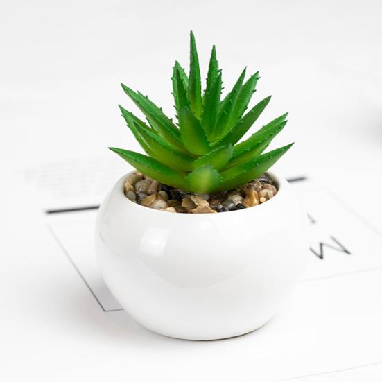 Поддельные растения, мини-реалистичные, широкое применение, высокое качество, натуральные яркие мульти-стильные искусственные суккуленты, бонсай для гостиной