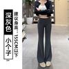 Gray Micro-pull Pants Women's Autumn New High-waisted Casual Lazy Loose and Thin Sports Horn Pants
