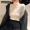 Turtleneck Sweaters Women Autumn Winter High Neck Pullover Sweaters Knitted Jumpers Solid Casual Slim Long Sleeve Basic Tops