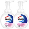 Walch Foam Antibacterial Moisturizing Hand Soap
