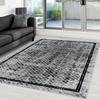 Washable Printed Carpet LNA0043-SD1092