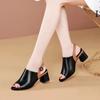 European and American Fish Mouth Fashion Sandals 2024 Summer New Simple Daily High Heel Large Size Women's Shoes Zapatos Mujer