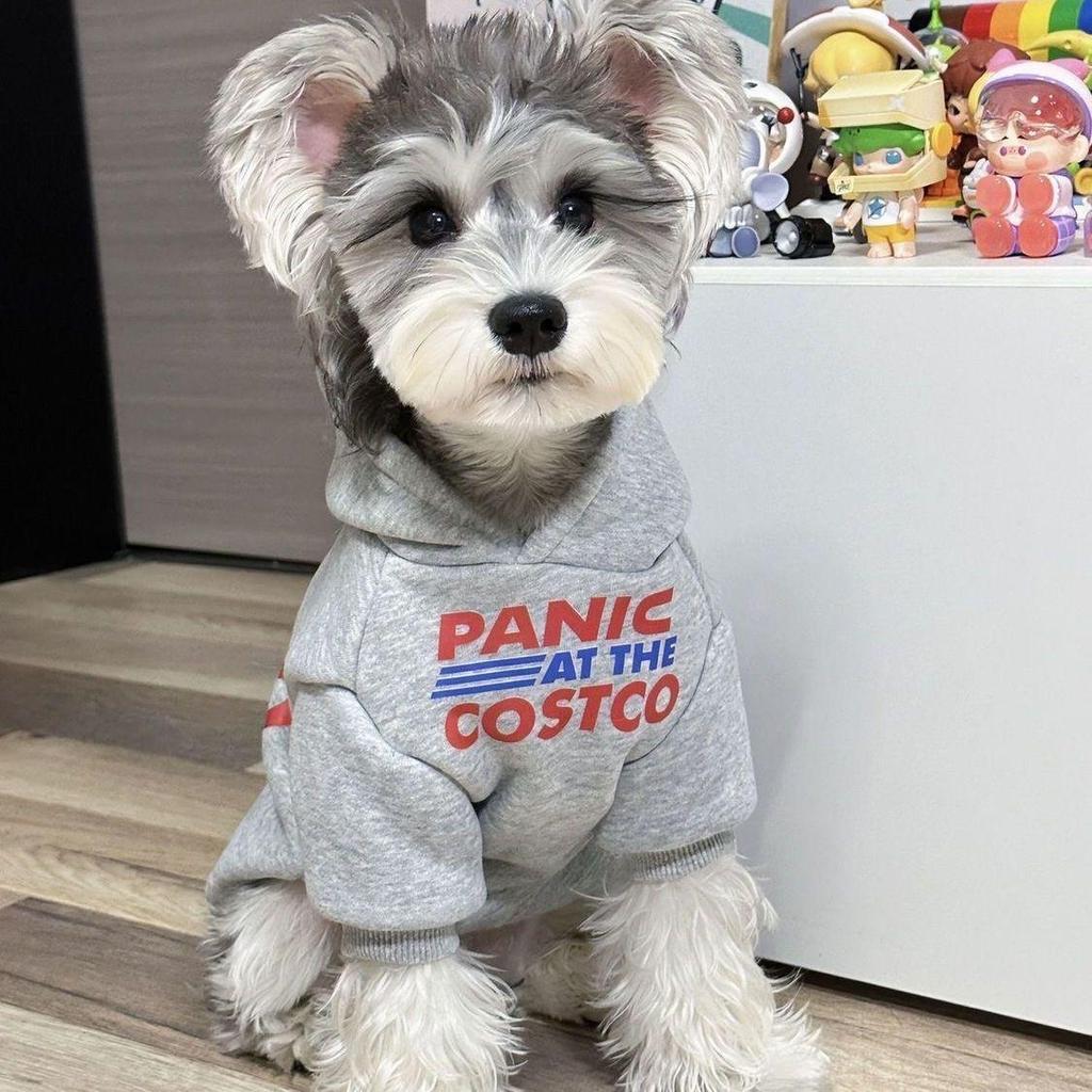 Худи для питомца померанского шпица в виде плюшевого мишки - Теплая толстовка на осень/зиму с защитой от линьки для маленьких собак