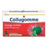 Collugomme 24 Gommes Pour La Gorge Irritéé